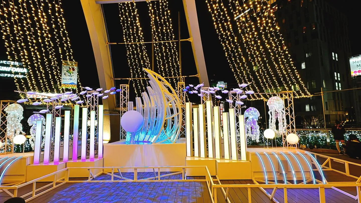 年末が近づき、街のイルミネーションが一層美しく輝く季節になり...