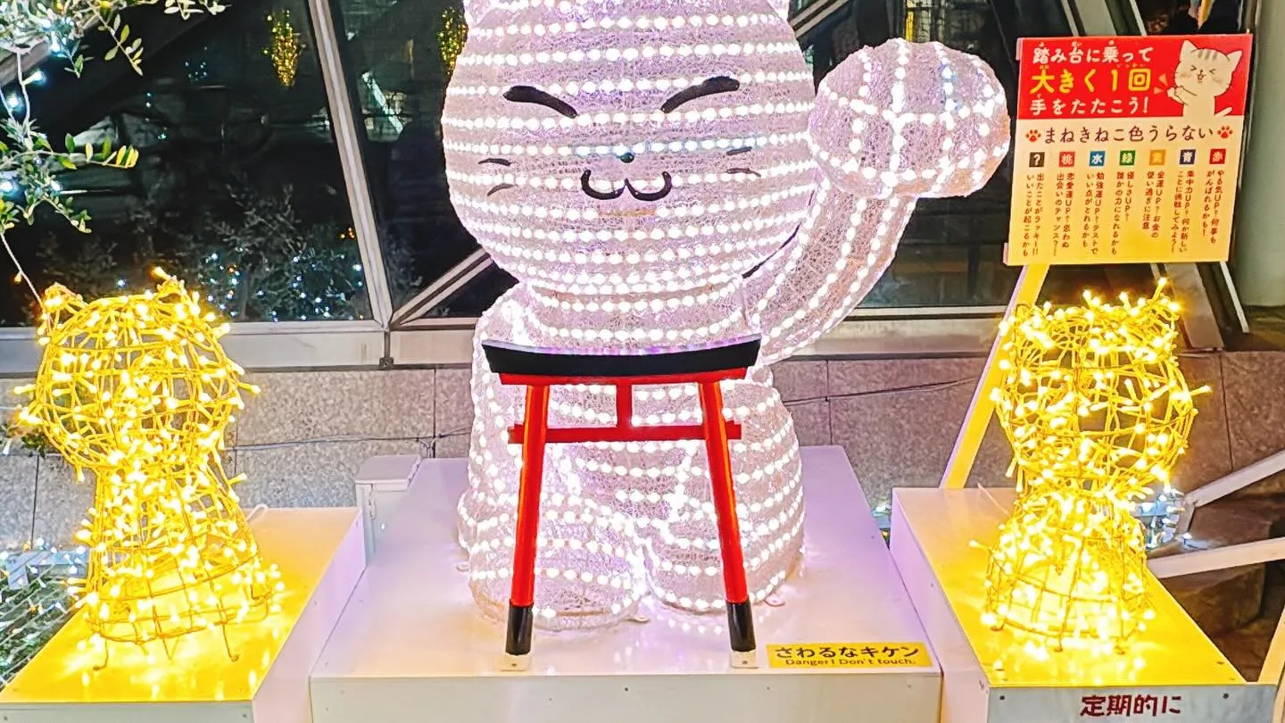 年末が近づき、街のイルミネーションが一層美しく輝く季節になり...