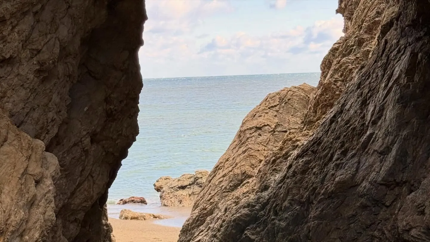 こんにちは、マナカル豊橋弥生校です🌸 昨日は楽しいいちご狩り...